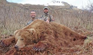 野生东北虎有多恐怖 野生东北虎有多恐怖