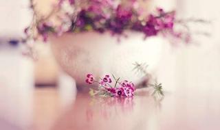 双鱼座女生最配星座 双鱼座女生最配星座