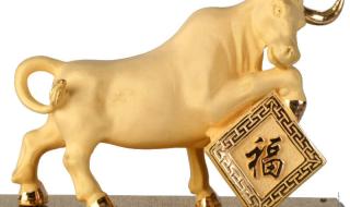 七上八下是什么生肖? 七上八下是什么生肖?