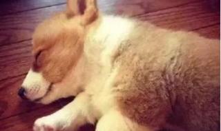 像天使一样美丽 像天使一样美丽