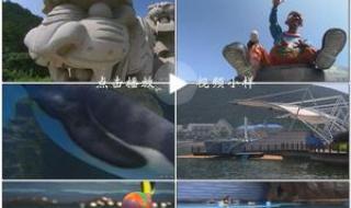 大连极地海洋动物馆 大连极地海洋动物馆