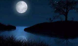 十五的月亮猜成语